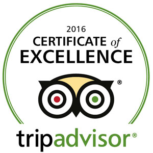 TripAdvisor
